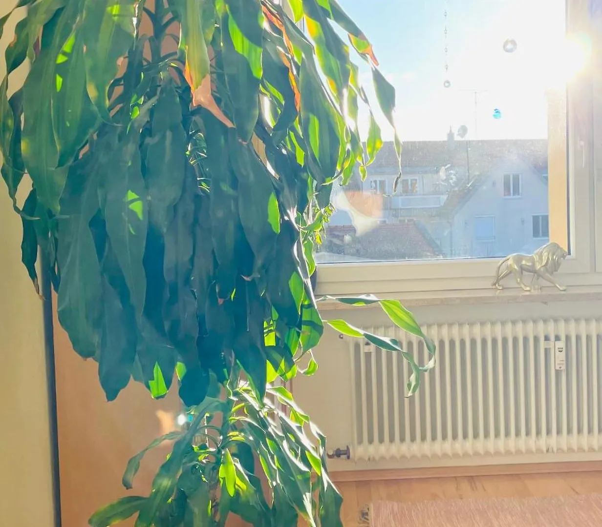 Apartment Ruheoase Im Herzen Von Muenchen